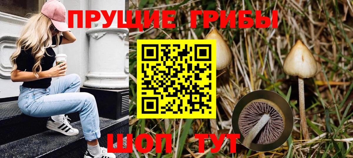 Борисоглебск  Псилоцибиновые грибы GOLDEN TEACHER  Вход с VPN 